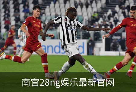 南宫28ng娱乐最新官网概况